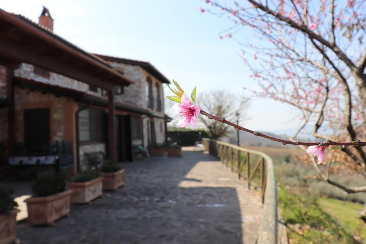 B&B Casale Roshlee Гуальдо-Каттанео Экстерьер фото