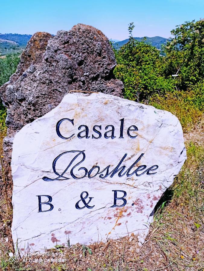 B&B Casale Roshlee Гуальдо-Каттанео Экстерьер фото